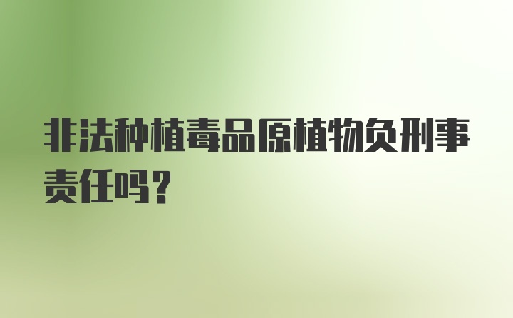 非法种植毒品原植物负刑事责任吗？