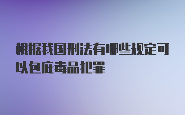 根据我国刑法有哪些规定可以包庇毒品犯罪