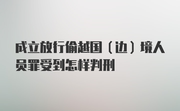 成立放行偷越国（边）境人员罪受到怎样判刑