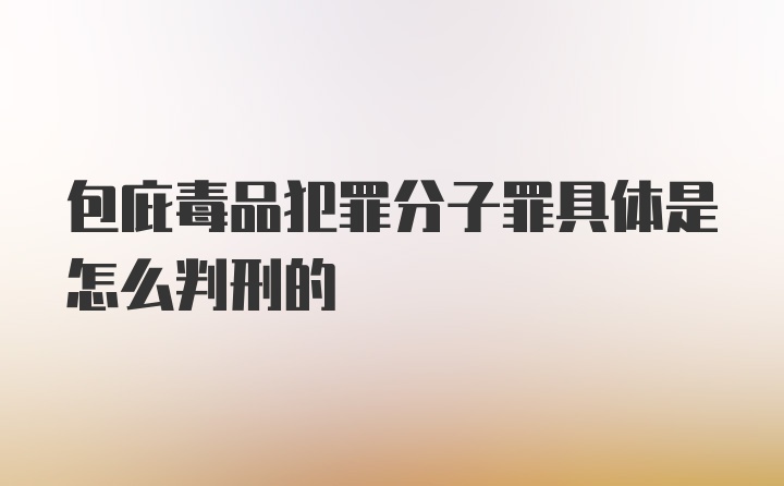 包庇毒品犯罪分子罪具体是怎么判刑的