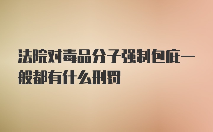 法院对毒品分子强制包庇一般都有什么刑罚