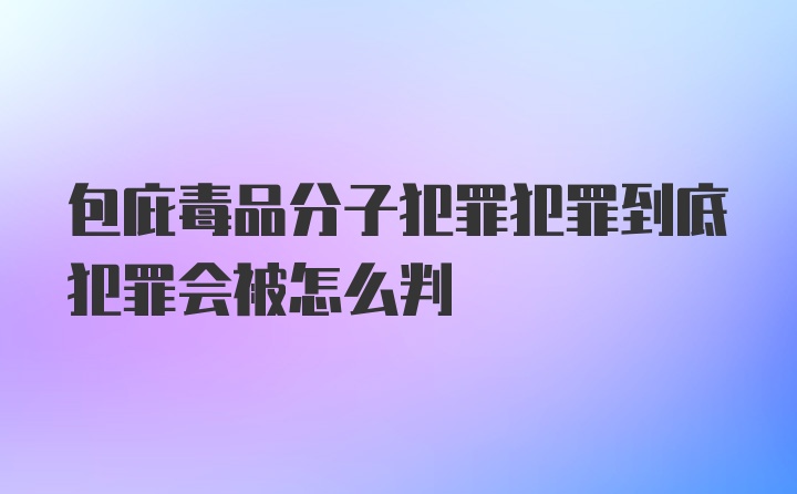 包庇毒品分子犯罪犯罪到底犯罪会被怎么判