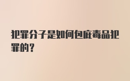 犯罪分子是如何包庇毒品犯罪的？