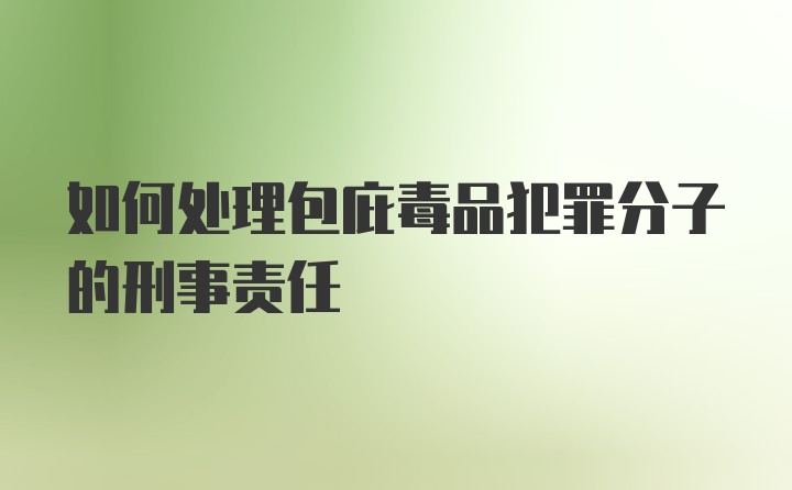 如何处理包庇毒品犯罪分子的刑事责任