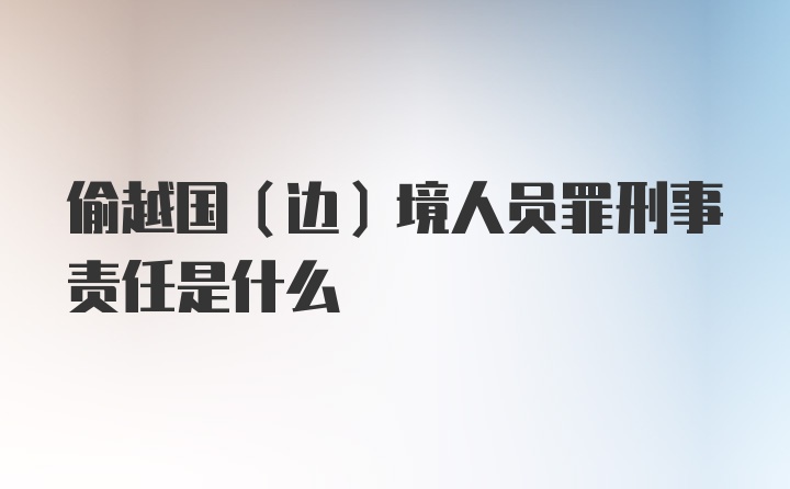 偷越国（边）境人员罪刑事责任是什么