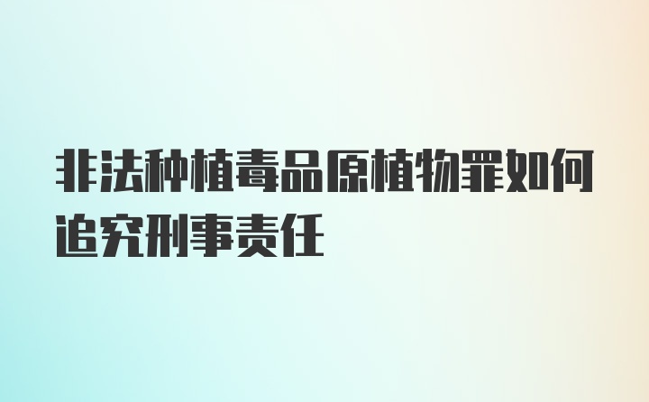 非法种植毒品原植物罪如何追究刑事责任