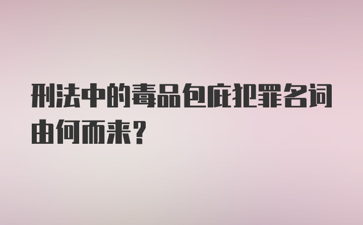 刑法中的毒品包庇犯罪名词由何而来？