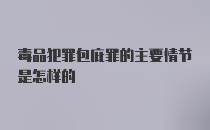 毒品犯罪包庇罪的主要情节是怎样的