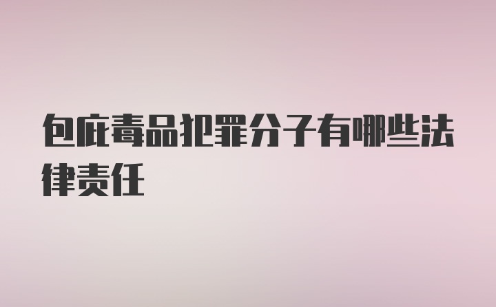 包庇毒品犯罪分子有哪些法律责任