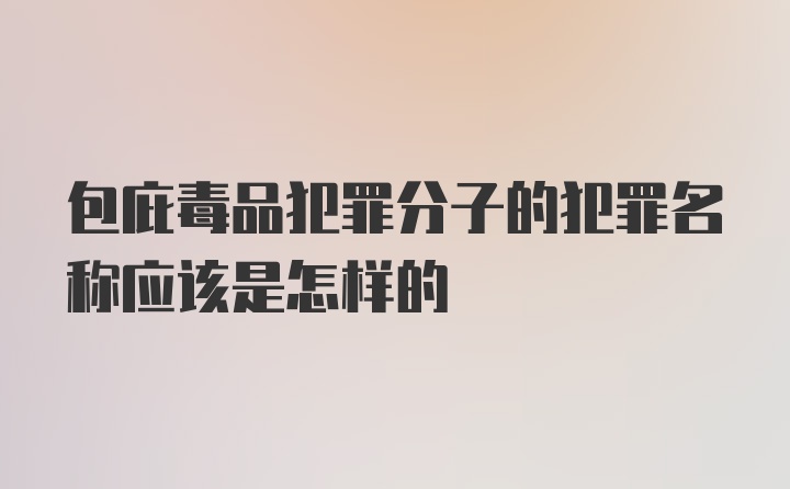 包庇毒品犯罪分子的犯罪名称应该是怎样的