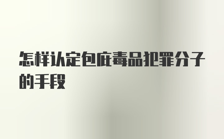 怎样认定包庇毒品犯罪分子的手段