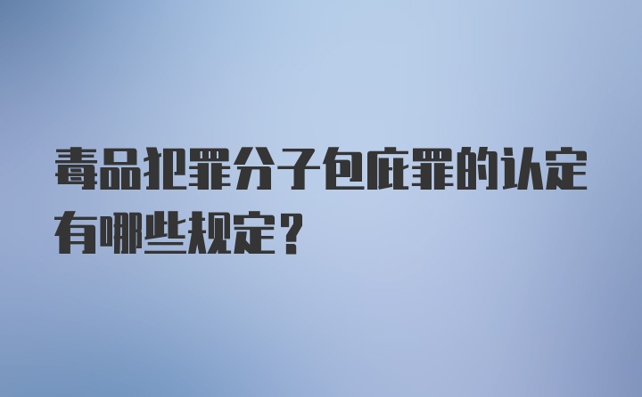 毒品犯罪分子包庇罪的认定有哪些规定?