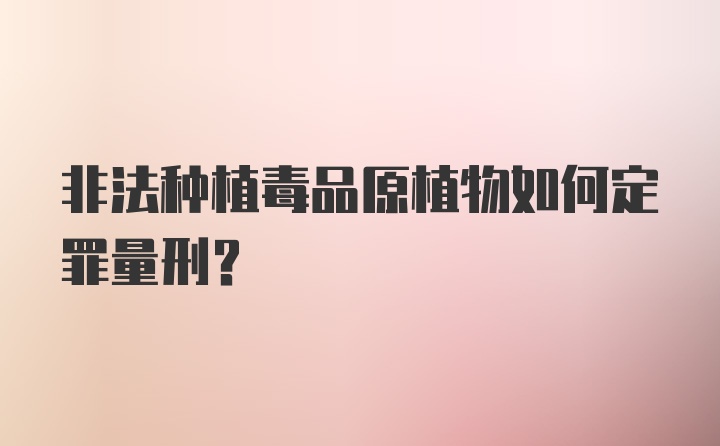 非法种植毒品原植物如何定罪量刑?