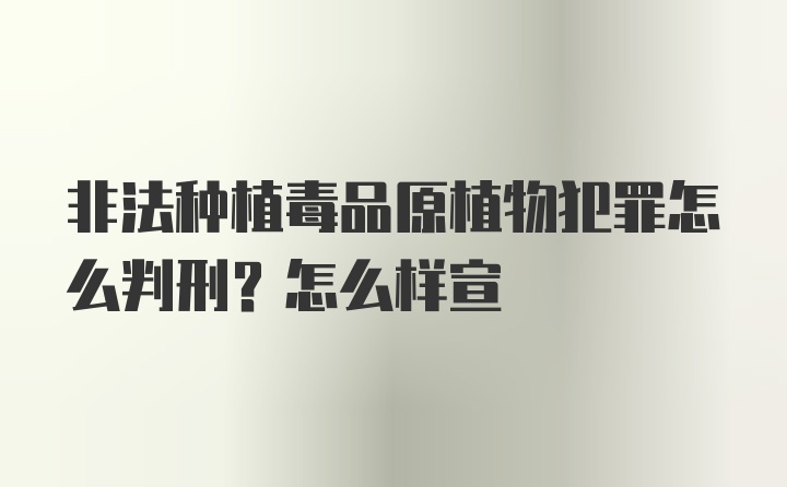 非法种植毒品原植物犯罪怎么判刑？怎么样宣