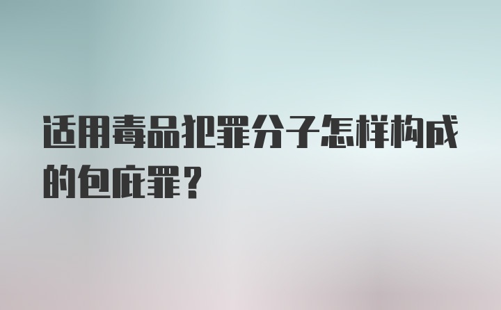 适用毒品犯罪分子怎样构成的包庇罪?