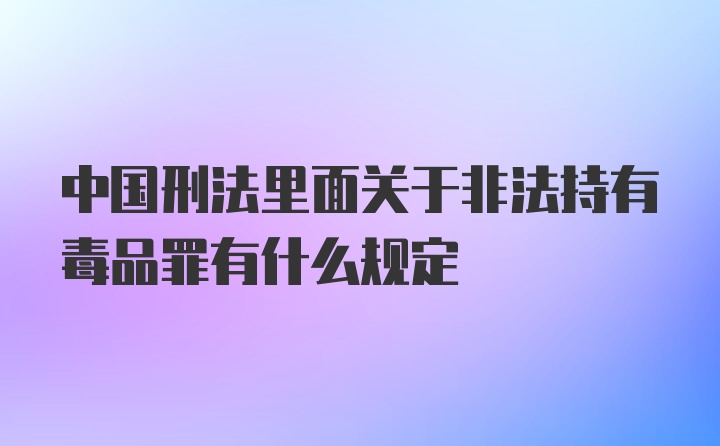 中国刑法里面关于非法持有毒品罪有什么规定