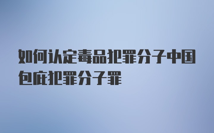 如何认定毒品犯罪分子中国包庇犯罪分子罪