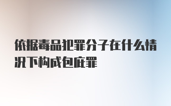 依据毒品犯罪分子在什么情况下构成包庇罪