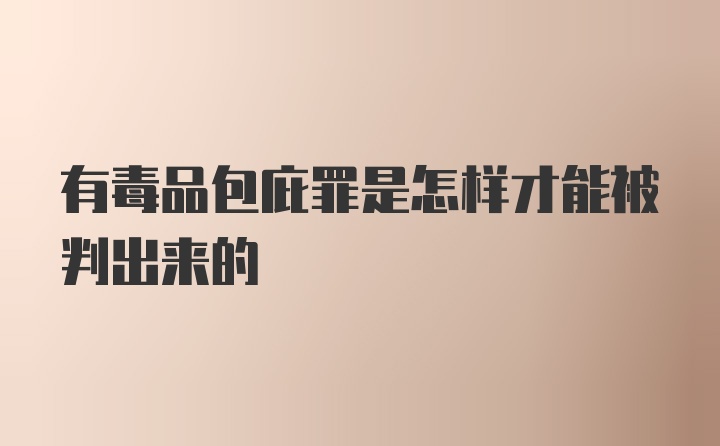 有毒品包庇罪是怎样才能被判出来的