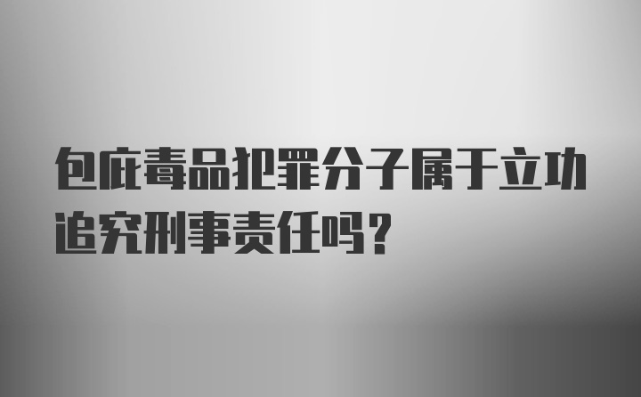 包庇毒品犯罪分子属于立功追究刑事责任吗？