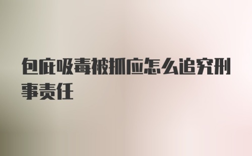 包庇吸毒被抓应怎么追究刑事责任