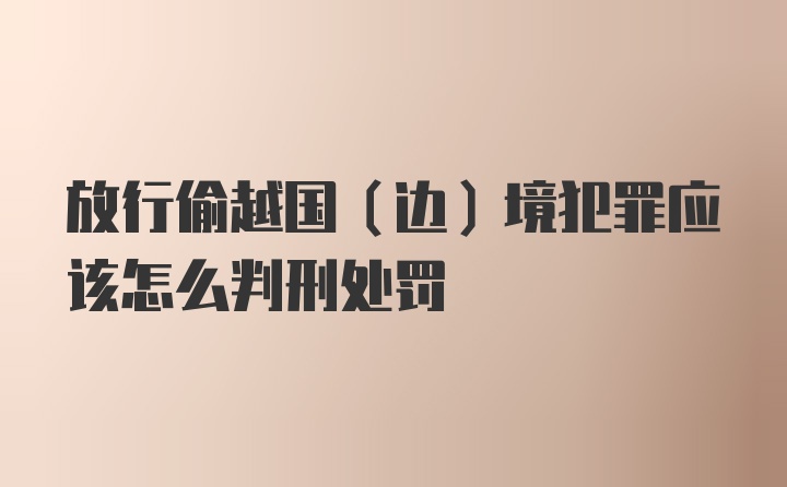 放行偷越国（边）境犯罪应该怎么判刑处罚