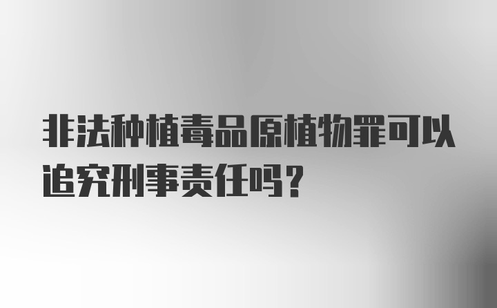 非法种植毒品原植物罪可以追究刑事责任吗？