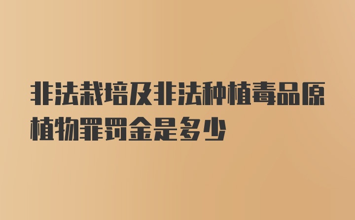 非法栽培及非法种植毒品原植物罪罚金是多少