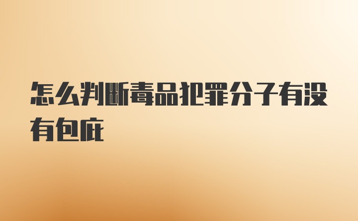 怎么判断毒品犯罪分子有没有包庇