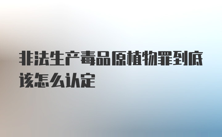 非法生产毒品原植物罪到底该怎么认定