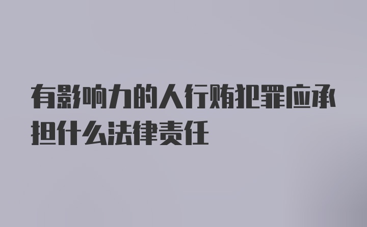 有影响力的人行贿犯罪应承担什么法律责任