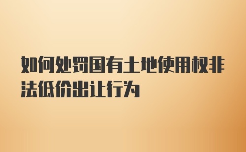 如何处罚国有土地使用权非法低价出让行为