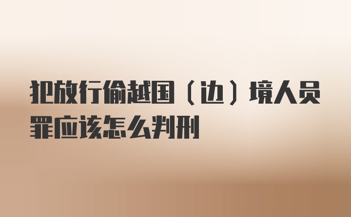 犯放行偷越国（边）境人员罪应该怎么判刑