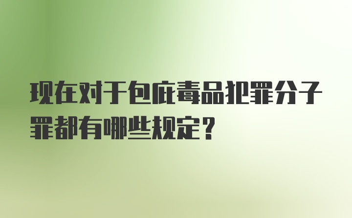 现在对于包庇毒品犯罪分子罪都有哪些规定？