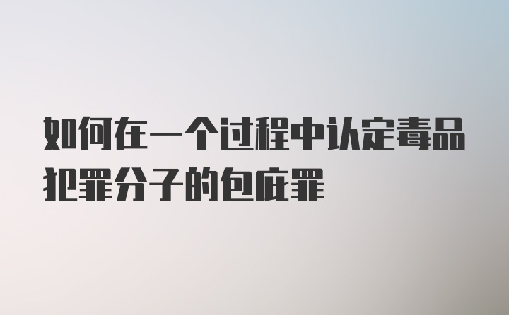 如何在一个过程中认定毒品犯罪分子的包庇罪