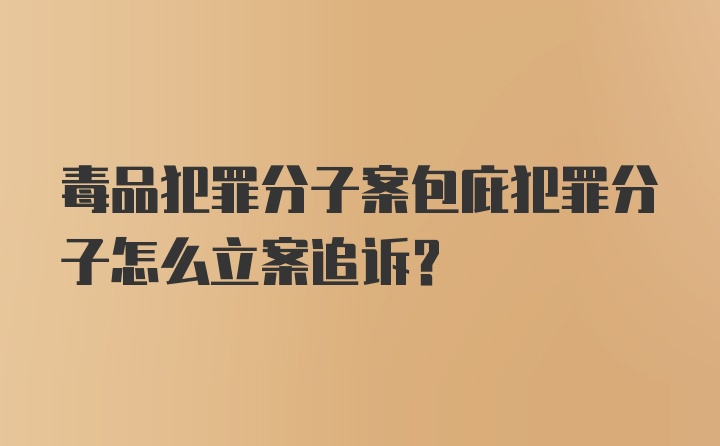 毒品犯罪分子案包庇犯罪分子怎么立案追诉？