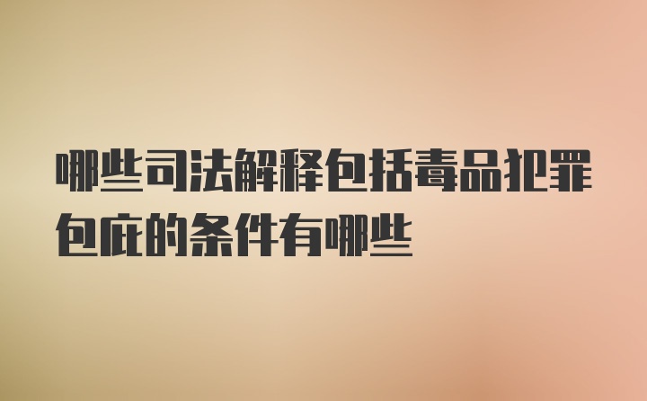 哪些司法解释包括毒品犯罪包庇的条件有哪些