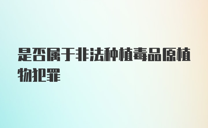 是否属于非法种植毒品原植物犯罪