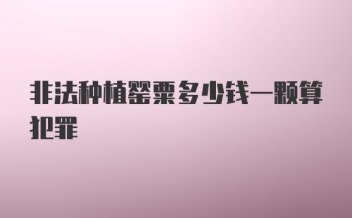 非法种植罂粟多少钱一颗算犯罪