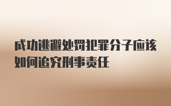 成功逃避处罚犯罪分子应该如何追究刑事责任