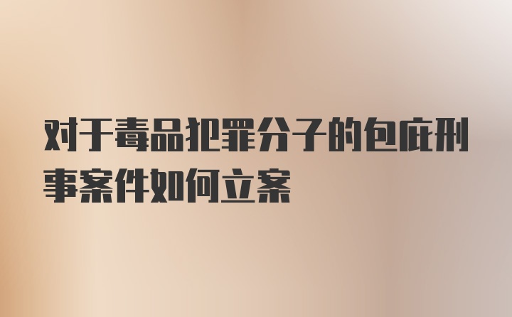 对于毒品犯罪分子的包庇刑事案件如何立案