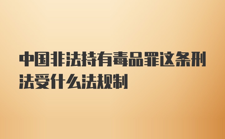 中国非法持有毒品罪这条刑法受什么法规制