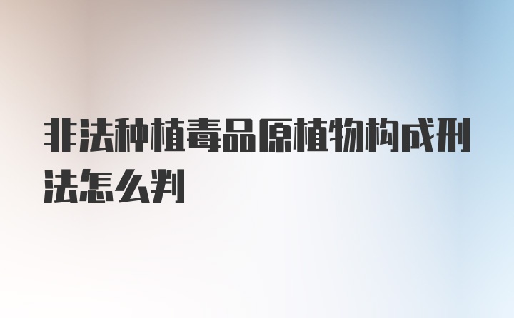 非法种植毒品原植物构成刑法怎么判