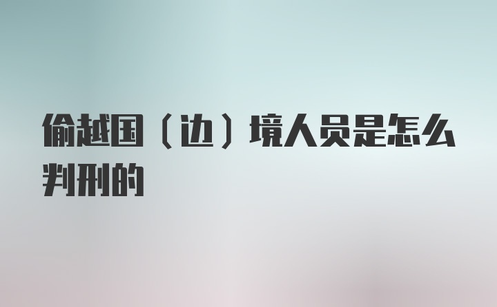 偷越国(边)境人员是怎么判刑的