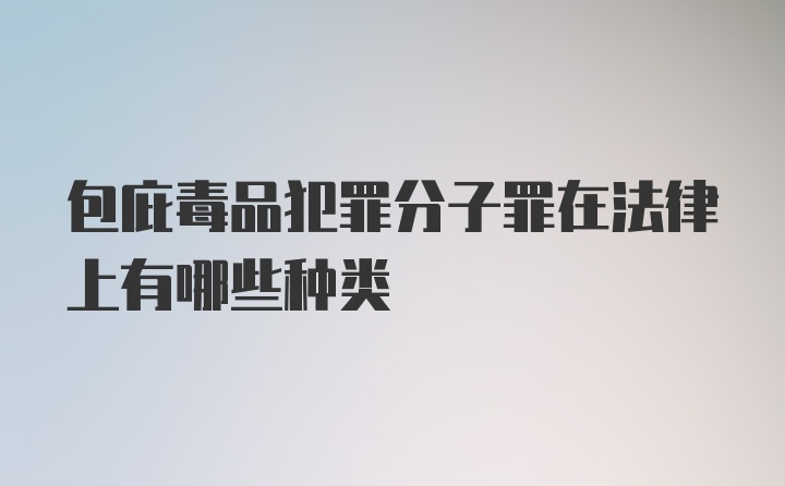 包庇毒品犯罪分子罪在法律上有哪些种类