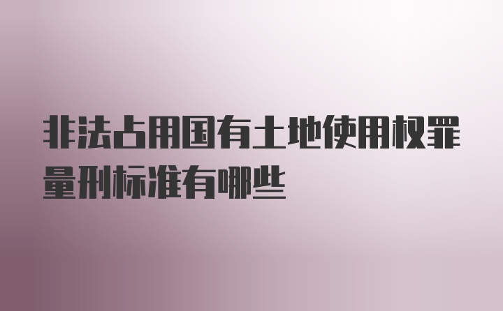 非法占用国有土地使用权罪量刑标准有哪些