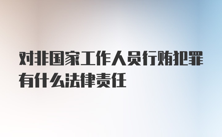 对非国家工作人员行贿犯罪有什么法律责任