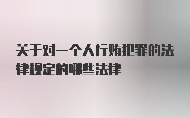 关于对一个人行贿犯罪的法律规定的哪些法律