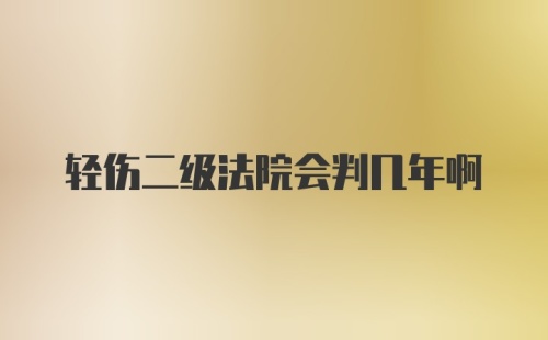 轻伤二级法院会判几年啊