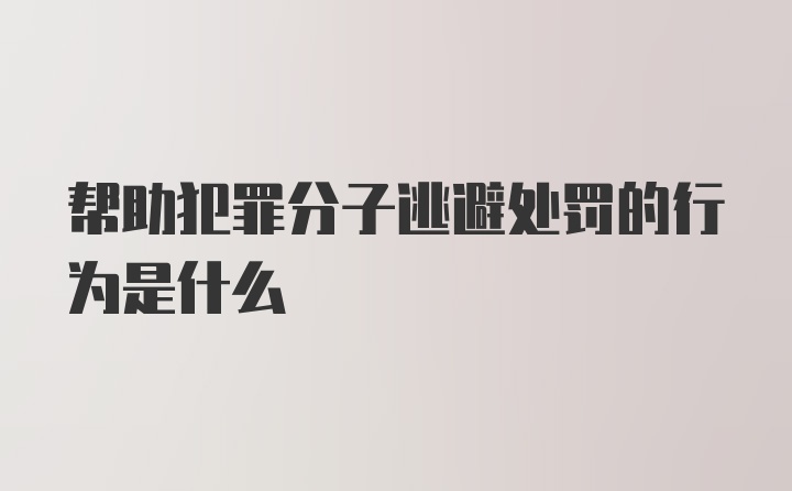 帮助犯罪分子逃避处罚的行为是什么